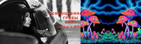 a pvp Дмитриев