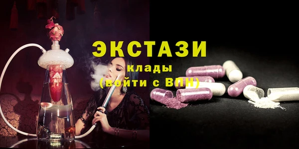 СК Дмитров
