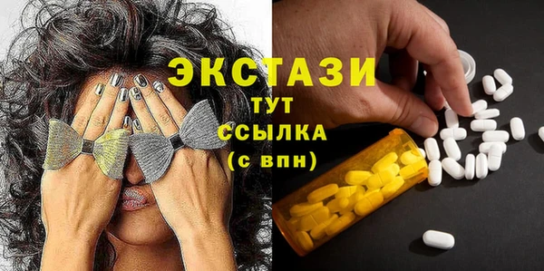 СК Дмитров