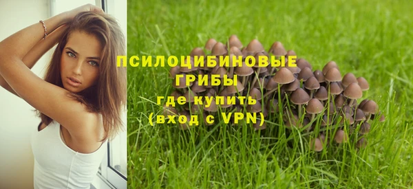 a pvp Дмитриев