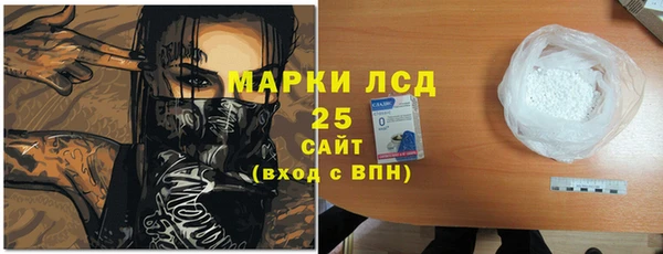 СК Дмитров